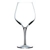 65cl Exquisit Burgundy Wine Glass by Stolzle