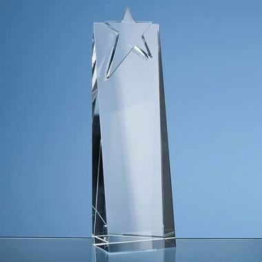 24cm Optic Star Rectangle Award
